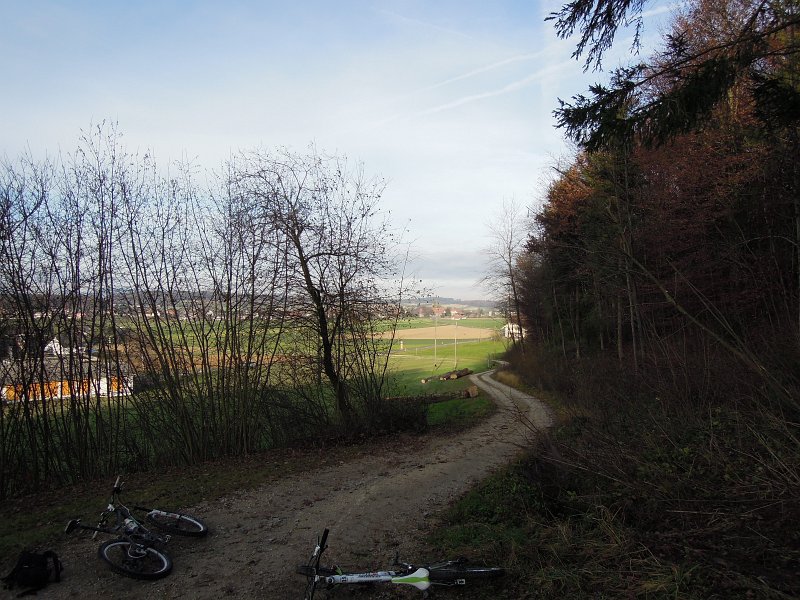 DSCN0344